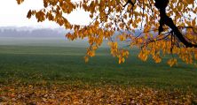 herbst_autumn.jpg